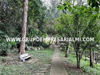 Apartamento en venta en El Poblado, Medellín · foto 7 de 20