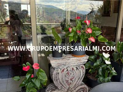 Apartamento de 3 alcobas en venta en El Poblado, Medellín, 200 m² · foto 12 de 20