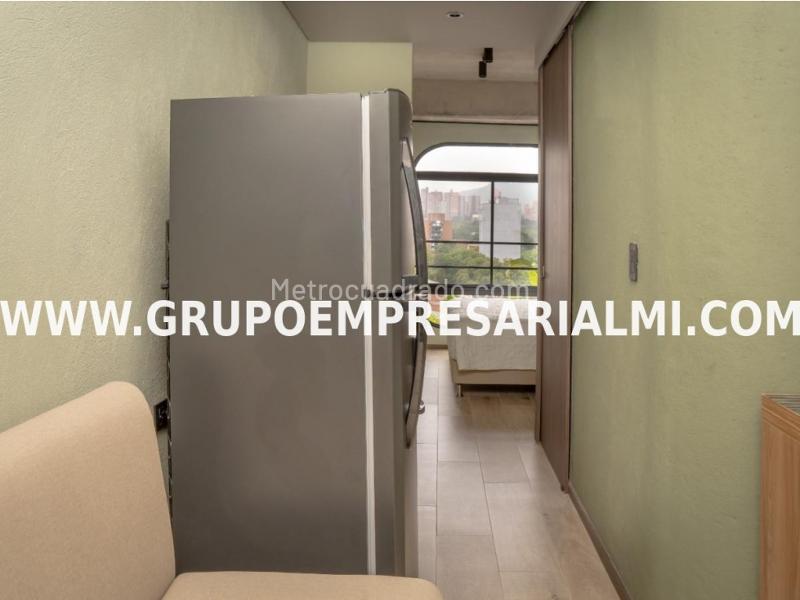 Furnished 1BR Studio in Los Alpes - 4