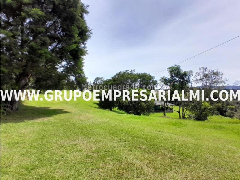 Lote en Venta, Llanogrande, Rionegro - Vista 2
