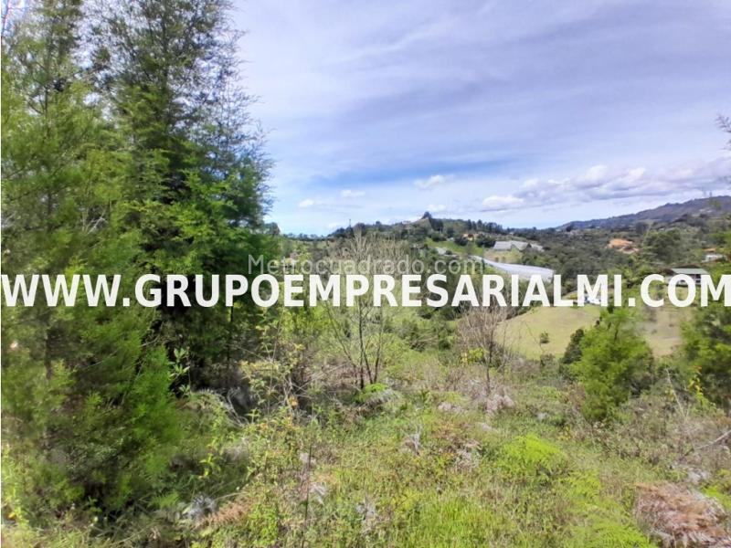 Lote en Venta, Llanogrande, Rionegro - Vista 5