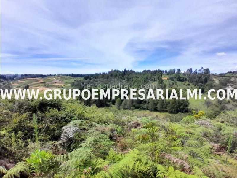 Lote en Venta, Llanogrande, Rionegro - Más