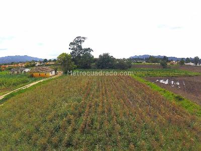 Casa en venta en Canelon, Cajicá · foto 20 de 20