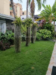 Casa de 4 alcobas en venta en Villa Santos, Barranquilla, 583 m² · foto 10 de 20