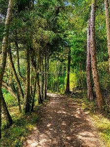 Casa de 4 alcobas en venta en Hacienda En La Calera, La Calera, 356 m² · foto 8 de 16