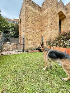 Casa de 3 alcobas en venta en Colinas De Suba, Bogotá, 356 m² · foto 3 de 20
