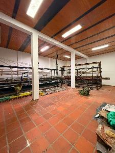 Casa de 4 alcobas en arriendo en San Cipriano, Bogotá, 178 m² · foto 12 de 20