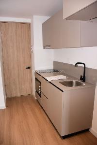 Apartaestudio en arriendo en Pasadena, Bogotá, 29 m² · foto 12 de 15