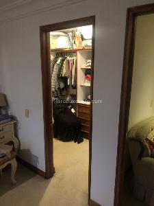 Apartamento de 4 alcobas en venta en La Cabrera, Bogotá, 350 m² · foto 8 de 20