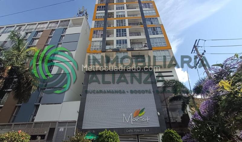 Piso – Bucaramanga, Diamante II, Comuna Provenza - Vista 2