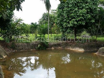 Casa de 4 alcobas en venta en Horizonte, Villavicencio · foto 2 de 20