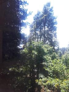Apartamento de 5 alcobas en venta en Niza Suba, Bogotá, 430 m² · foto 14 de 14