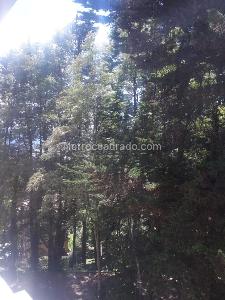 Apartamento de 5 alcobas en venta en Niza Suba, Bogotá, 430 m² · foto 11 de 14