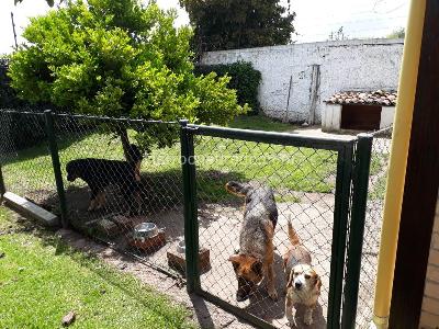 Casa de 5 alcobas en venta en Los Robles, Bogotá, 300 m² · foto 14 de 20