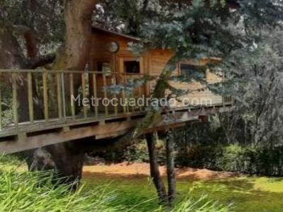 Casa de 3 alcobas en venta en La Calera, La Calera, 500 m² · foto 4 de 20