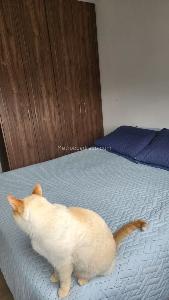 Apartamento de 3 alcobas en venta en Ciudadela La Felicidad, Bogotá, 93 m² · foto 13 de 20