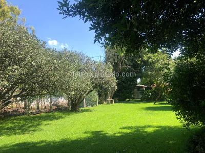 Casa de 3 alcobas en venta en Quintas De Guaymaral, Bogotá, 375 m² · foto 17 de 20
