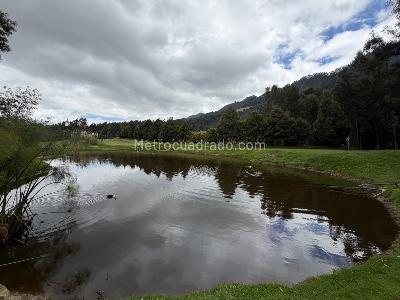 Casa de 3 alcobas en venta en Bosque Residencial, Cajicá, 208 m² · foto 16 de 20