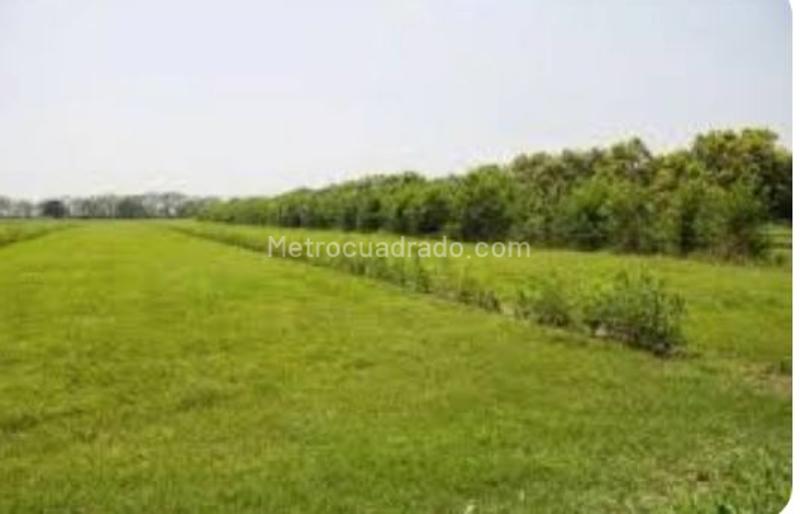 Lote en Venta, BARRANQUILLA, Barranquilla - Vista 2