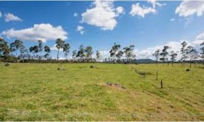 Lote en Venta, CHIA VEREDA LA BALSA, Chía