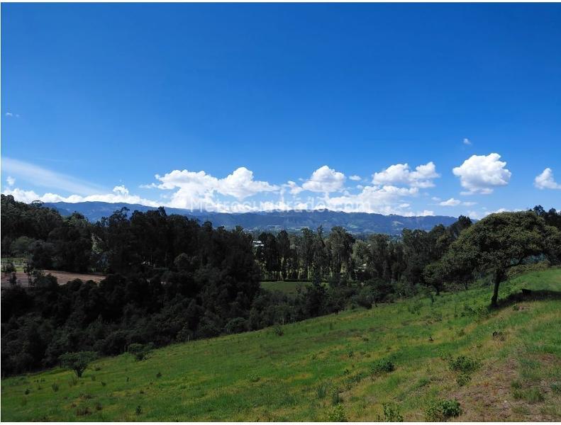 Lote en Venta, Chía Altos de Yerbabuena, Chía - Vista 4