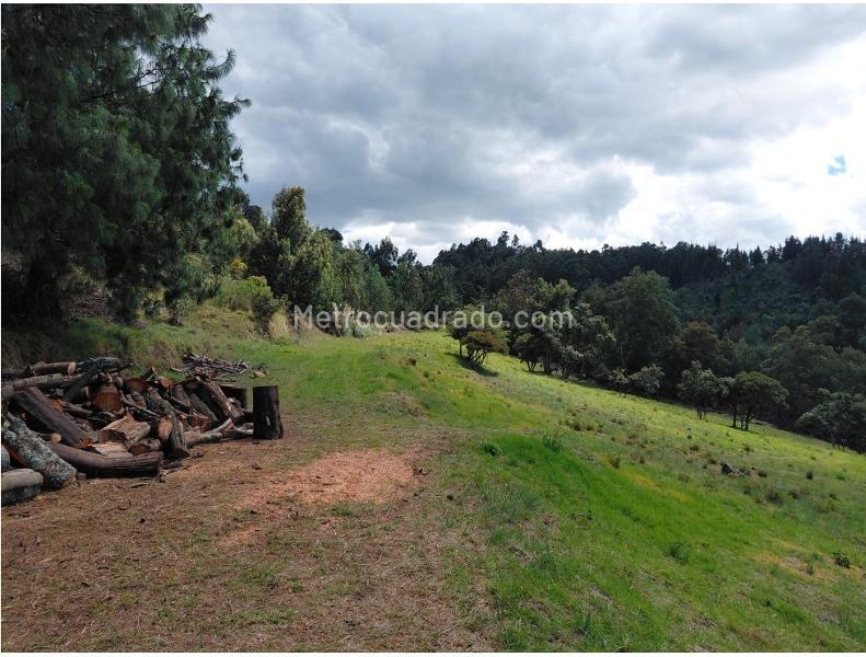 Lote en Venta, Chía Altos de Yerbabuena, Chía - Vista 5