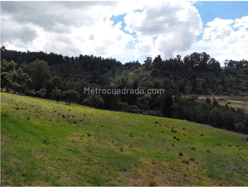 Lote en Venta, Chía Altos de Yerbabuena, Chía - Más