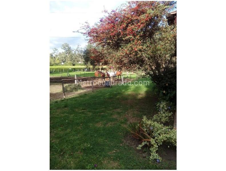 Lote en Venta, Chía Vereda Fagua, Chía - Más