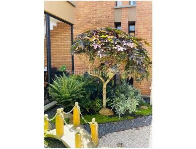 Casa de 4 alcobas en venta en Chia, Bogotá, 327 m² · foto 15 de 19
