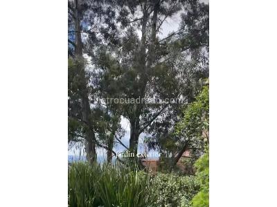 Apartamento en venta en Los Rosales, Bogotá · foto 6 de 12