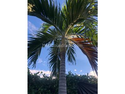 Casa de 3 alcobas en venta en Condominio Colina, Girardot, 247 m² · foto 13 de 20