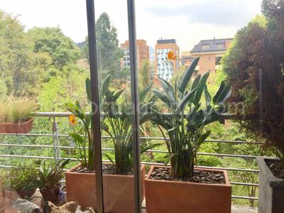 Apartamento en venta en Chico Navarra, Bogotá · foto 2 de 14