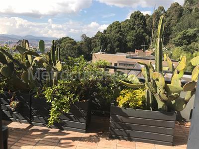 Apartamento de 4 alcobas en venta en El Seminario, Bogotá, 496 m² · foto 12 de 12