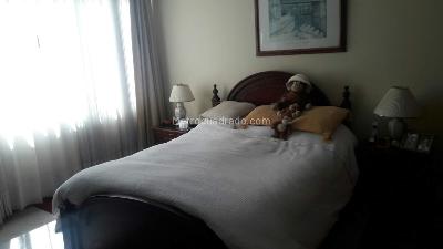 Apartamento en venta en Chico Navarra, Bogotá · foto 7 de 19