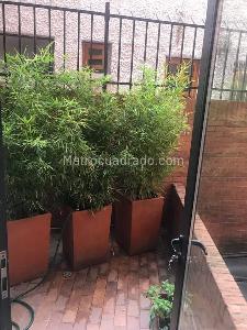Apartamento en venta en Los Rosales, Bogotá · foto 4 de 20