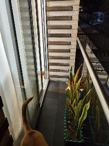 Apartamento en venta en Cedritos, Bogotá · foto 6 de 8