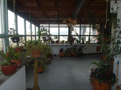 Apartamento de 5 alcobas en venta en El Nogal, Bogotá, 288 m² · foto 19 de 20