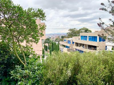 Apartamento de 3 alcobas en venta en Chico Oriental, Bogotá, 285 m² · foto 13 de 20