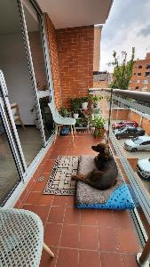 Apartamento de 2 alcobas en venta en Caobos Salazar Cedritos, Bogotá, 74 m² · foto 13 de 15
