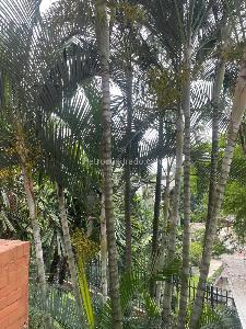 Apartamento de 2 alcobas en venta en Bellavista, Cali, 121 m² · foto 11 de 20