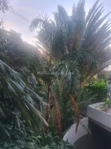 Apartamento de 3 alcobas en venta en Bellavista, Cali, 205 m² · foto 3 de 20