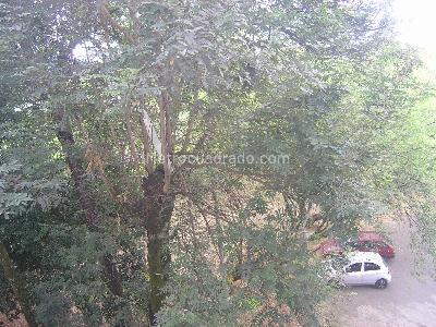 Apartamento en venta en El Ingenio, Cali · foto 16 de 16