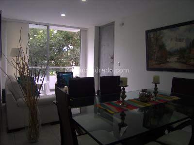 Apartamento en venta en El Ingenio, Cali · foto 2 de 16