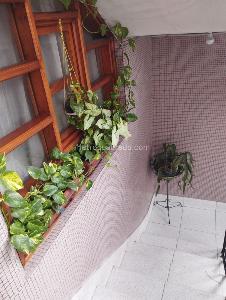 Casa de 5 alcobas en venta en Laureles, Medellín, 156 m² · foto 15 de 16