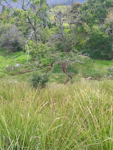 Lote en Venta, Norte America, Bello - Vista 3