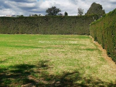 Casa de 5 alcobas en venta en Quintas De Serrezuela, Mosquera, 450 m² · foto 8 de 19