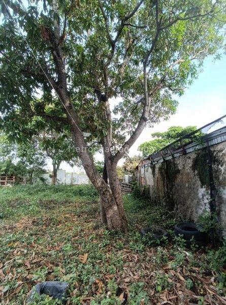 Lote en Venta, MARTINEZ MARTELO, Cartagena de Indias - Vista 5