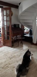 Apartamento en venta en Chico Navarra, Bogotá · foto 7 de 16