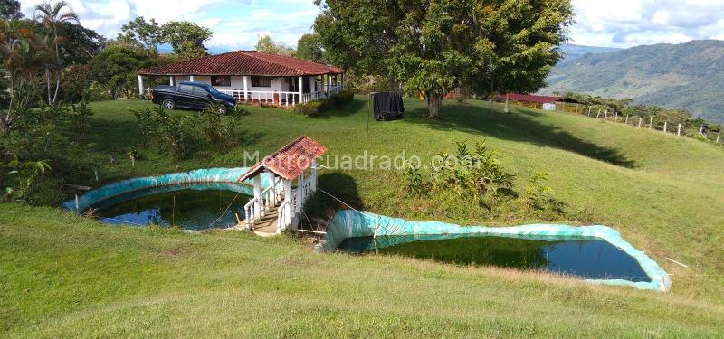 Finca En Venta, Vereda Chiquinta Vía San Lorenzo