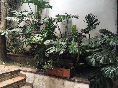 Casa de 5 alcobas en venta en La Candelaria, Bogotá, 784 m² · foto 16 de 19